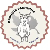 pashmina-shawl-gi