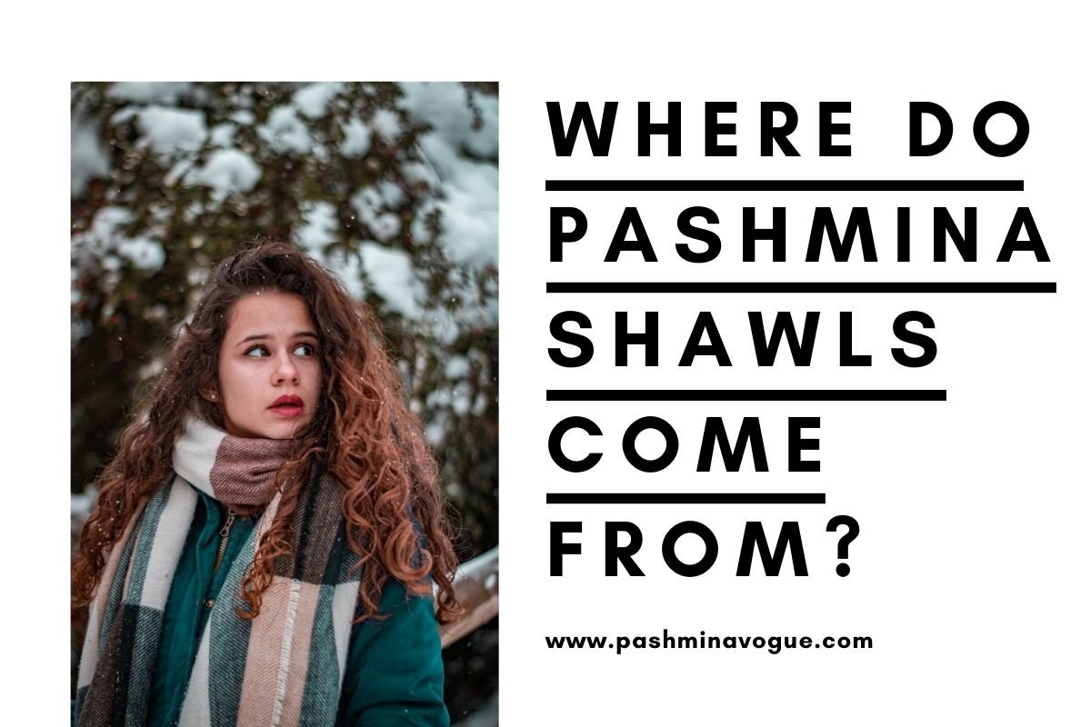 Where Do Pashmina Shawls Come From?