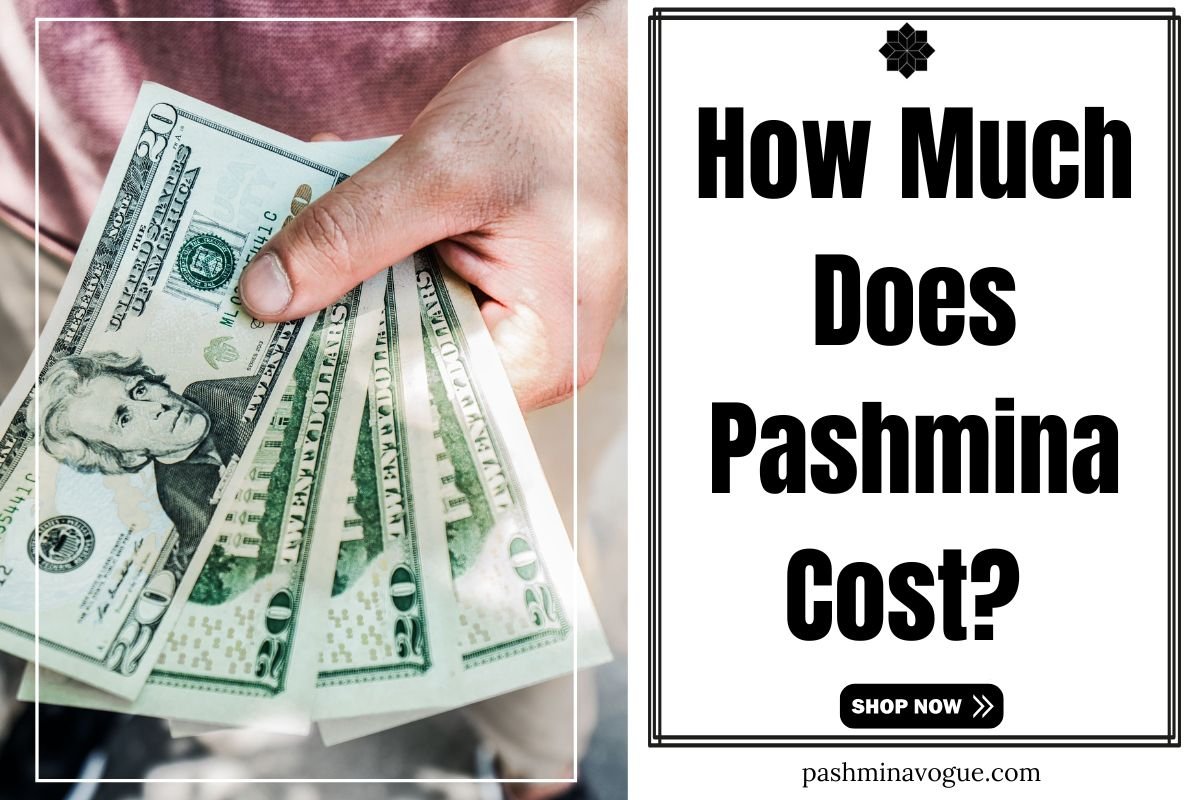 Pashmina Cost